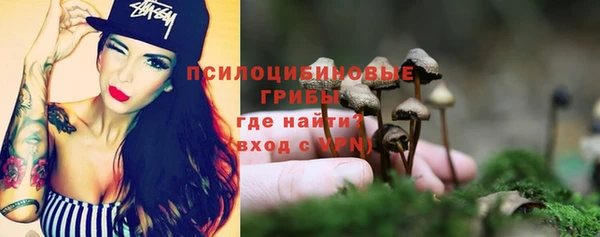 дживик Алексин