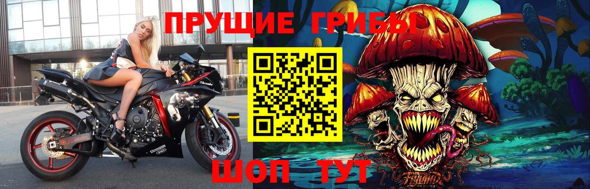 Псилоцибиновые грибы прущие грибы Усинск